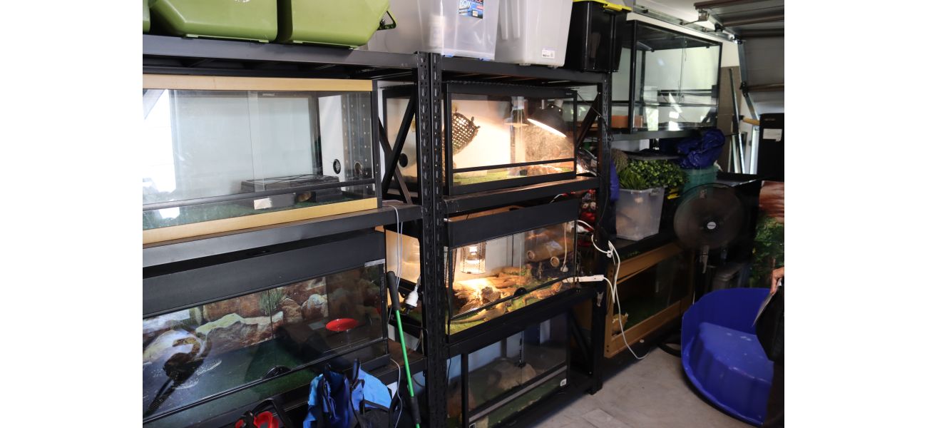 Woman fined $20,000 for having 26 reptiles and 18 eggs in her home.