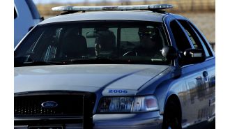 A mountain lion near a school was shot by a police officer in Greeley.