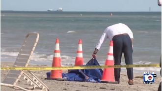 A person's head discovered on a well-known beach for visitors.