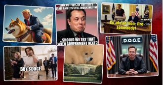 Don't let Trump and Musk memes ruin your day.