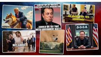 Don't let Trump and Musk memes ruin your day.