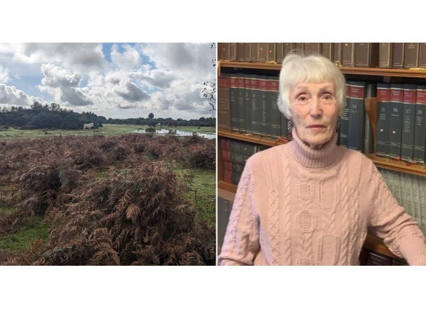 Elderly dog-walker killed by cow in tragic incident, remembered for vibrant personality.