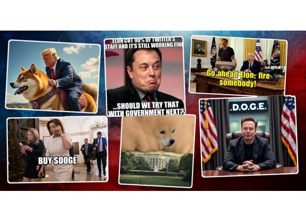 Don't let Trump and Musk memes ruin your day.