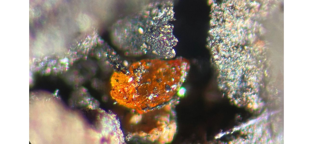 Ancient discovery solves enigma of Antarctica after 90 million years.