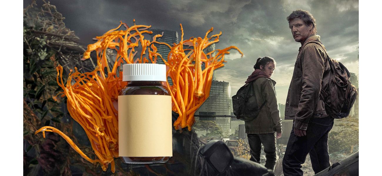 The Last of Us zombie fungus may have life-saving potential.