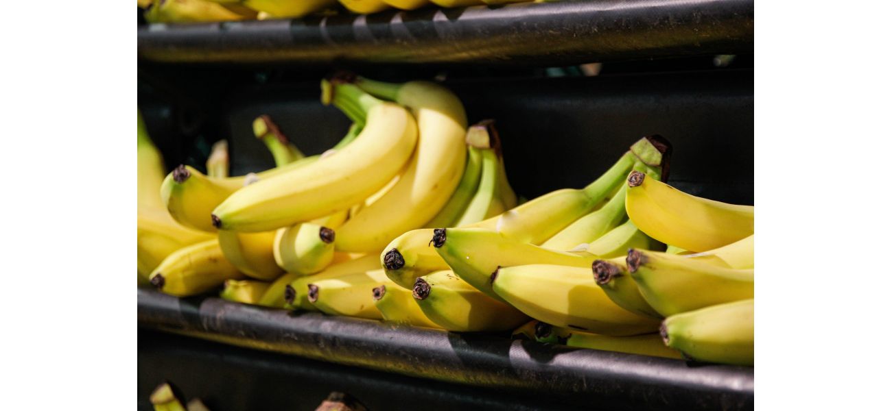 A politician's phobia of bananas prevents her from being near them.