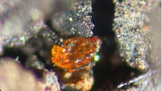 Ancient discovery solves enigma of Antarctica after 90 million years.