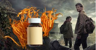 The Last of Us zombie fungus may have life-saving potential.