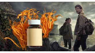 The Last of Us zombie fungus may have life-saving potential.