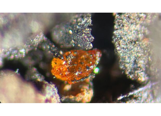 Ancient discovery solves enigma of Antarctica after 90 million years.