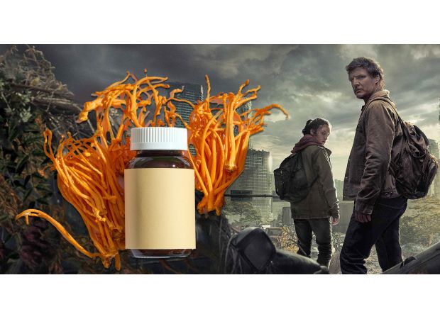 The Last of Us zombie fungus may have life-saving potential.