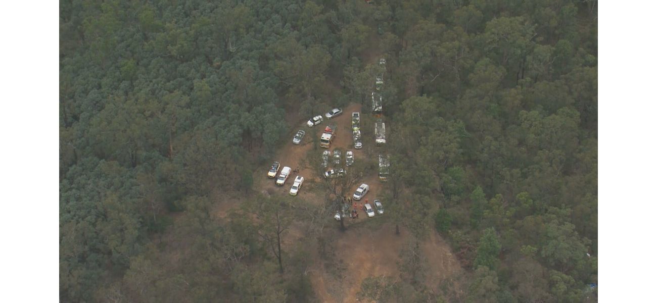Intense search for swimmer missing in NSW river.