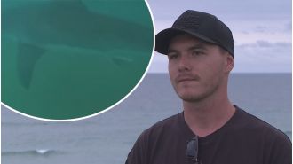 A surfer has a frightful encounter with a giant great white shark.