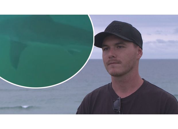 A surfer has a frightful encounter with a giant great white shark.