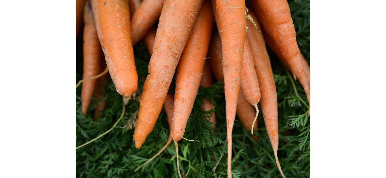 One person killed, 15 hospitalized in recent E. coli outbreak connected to organic carrots in multiple states.