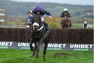 Horse racing community shocked by two horse fatalities in single Cheltenham race.
