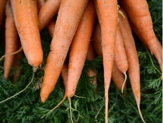 One person killed, 15 hospitalized in recent E. coli outbreak connected to organic carrots in multiple states.