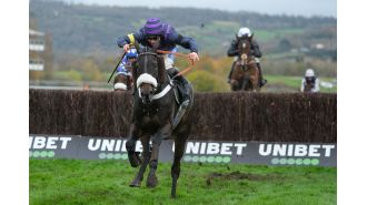 Horse racing community shocked by two horse fatalities in single Cheltenham race.