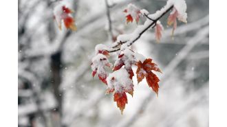 Snow will fall in the Colorado mountains on Monday and the Denver area can expect it on Tuesday.