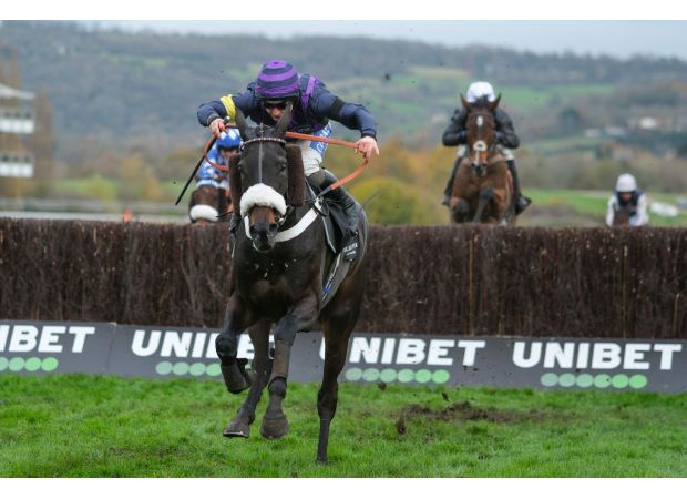 Horse racing community shocked by two horse fatalities in single Cheltenham race.
