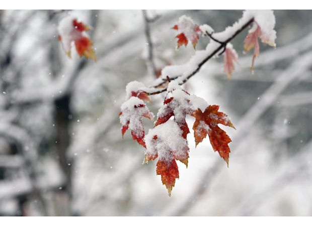 Snow will fall in the Colorado mountains on Monday and the Denver area can expect it on Tuesday.