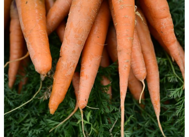 One person killed, 15 hospitalized in recent E. coli outbreak connected to organic carrots in multiple states.