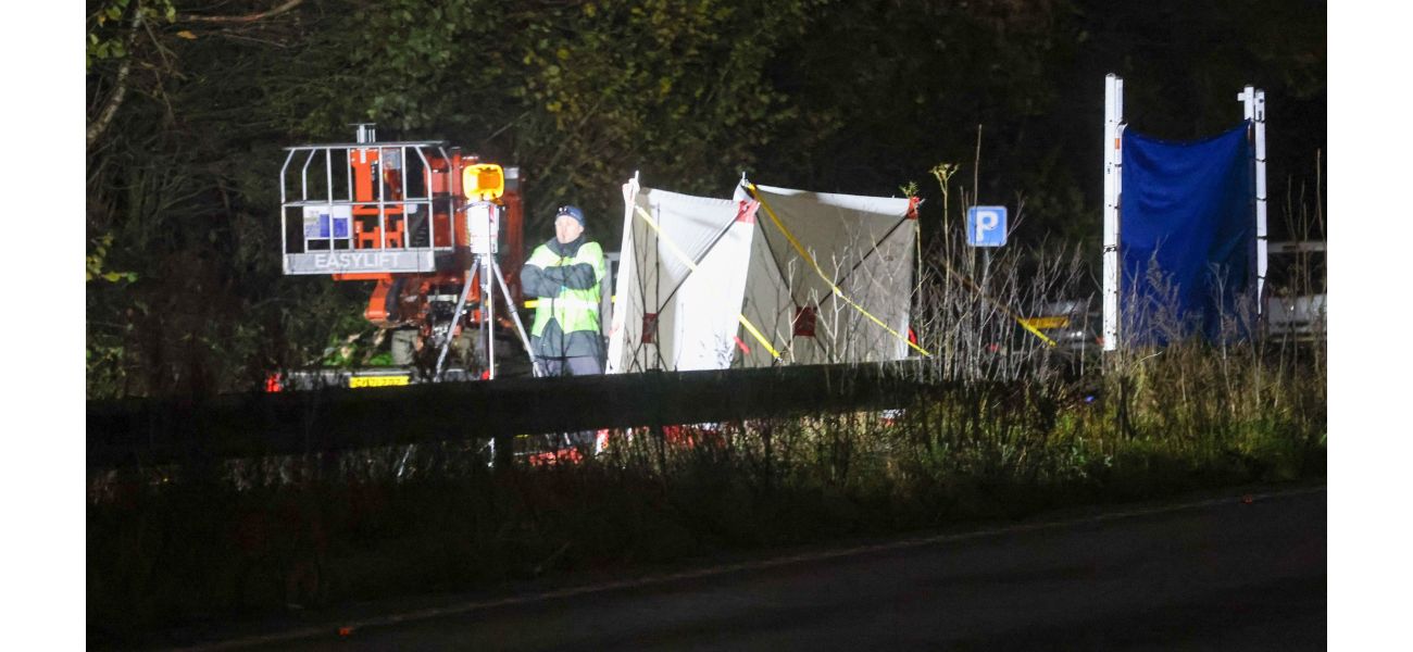 A man was taken into custody following a fatal hit and run involving a 60-year-old pedestrian.