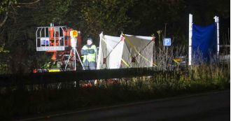 A man was taken into custody following a fatal hit and run involving a 60-year-old pedestrian.