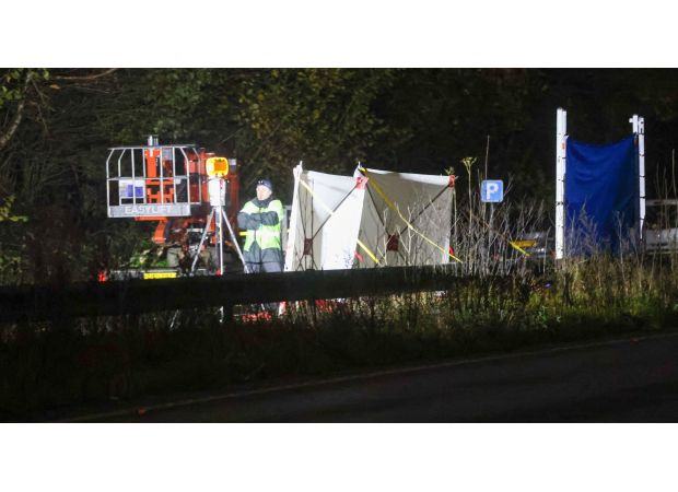 A man was taken into custody following a fatal hit and run involving a 60-year-old pedestrian.