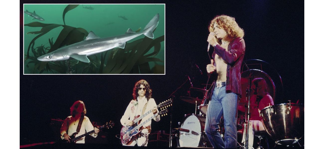 In 1969, Led Zeppelin, a mud shark, and a groupie were involved in a controversial incident.