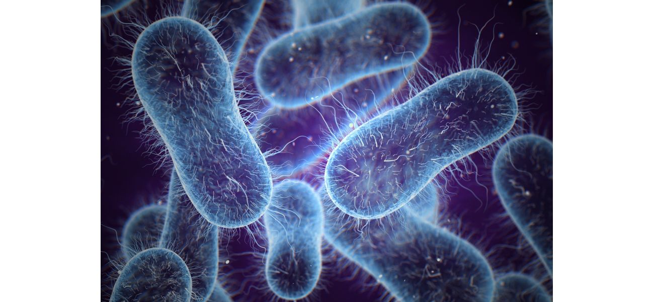 Gut bacteria that causes food poisoning may help combat bowel cancer.