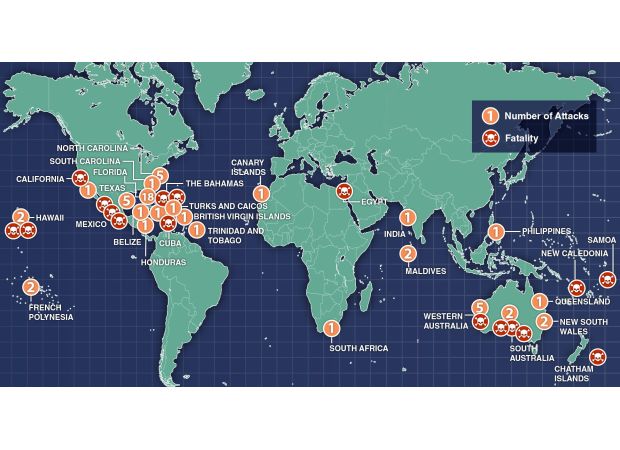 The map displays 2024 shark attacks following a fatal attack on a rugby player.