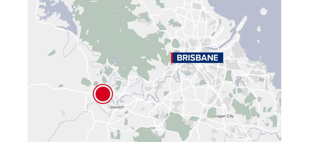 A driver was killed in a collision with a cattle truck on a highway in Queensland, and the cows involved had to be put down.