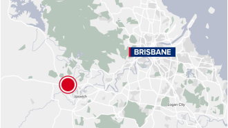 A driver was killed in a collision with a cattle truck on a highway in Queensland, and the cows involved had to be put down.