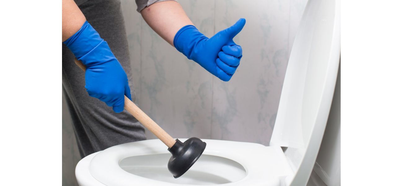 Over 7,000 toilets have been blocked by MPs in the past two years.