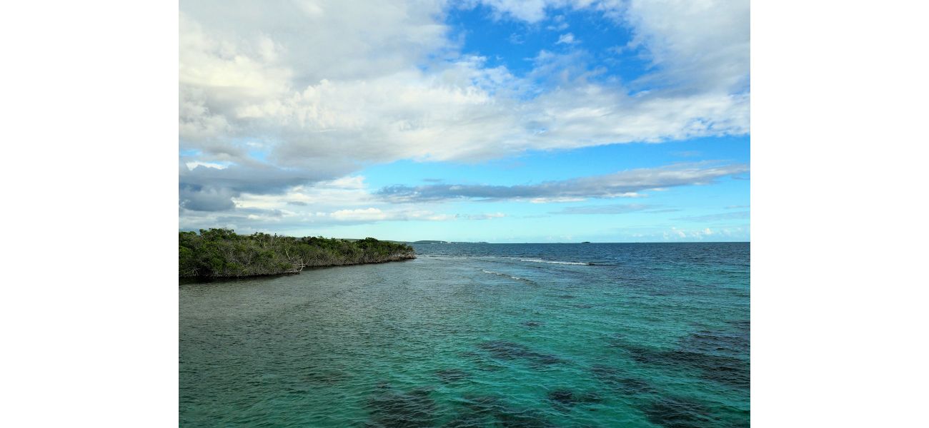 Cannabis is legal in Puerto Rico, a US territory.
