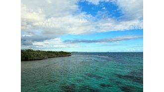 Cannabis is legal in Puerto Rico, a US territory.