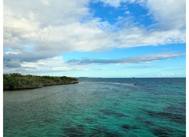 Cannabis is legal in Puerto Rico, a US territory.