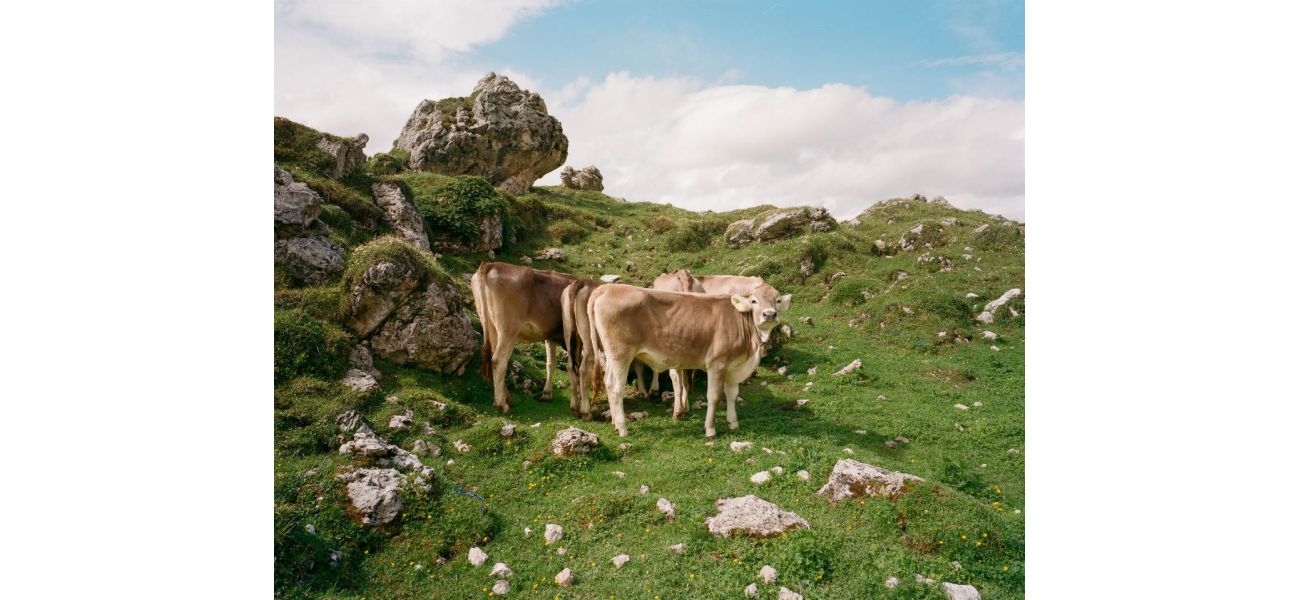New Stills exhibit to showcase breathtaking photos.