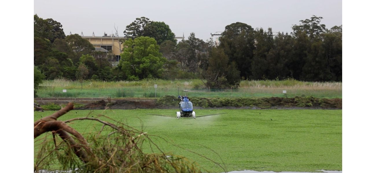 Serious mosquito problem at Sydney water plant resolved.