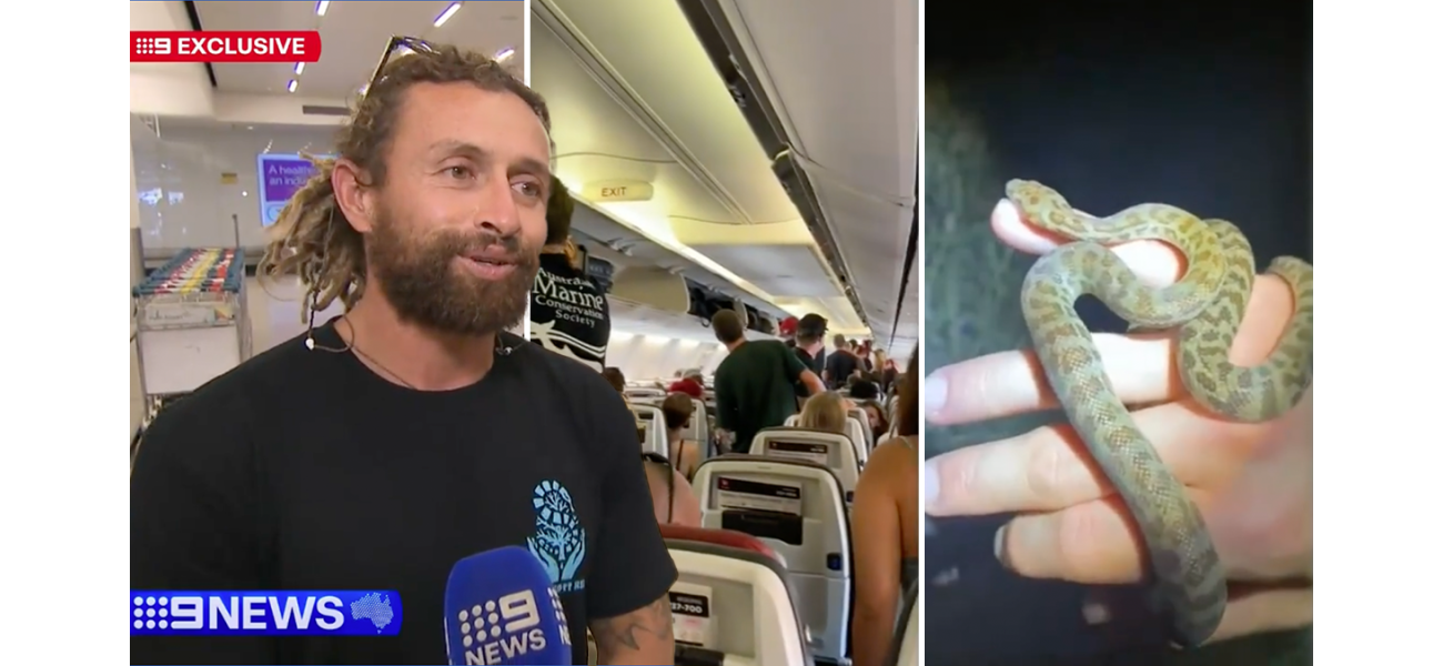An unexpected snake caused chaos on a flight in Australia.