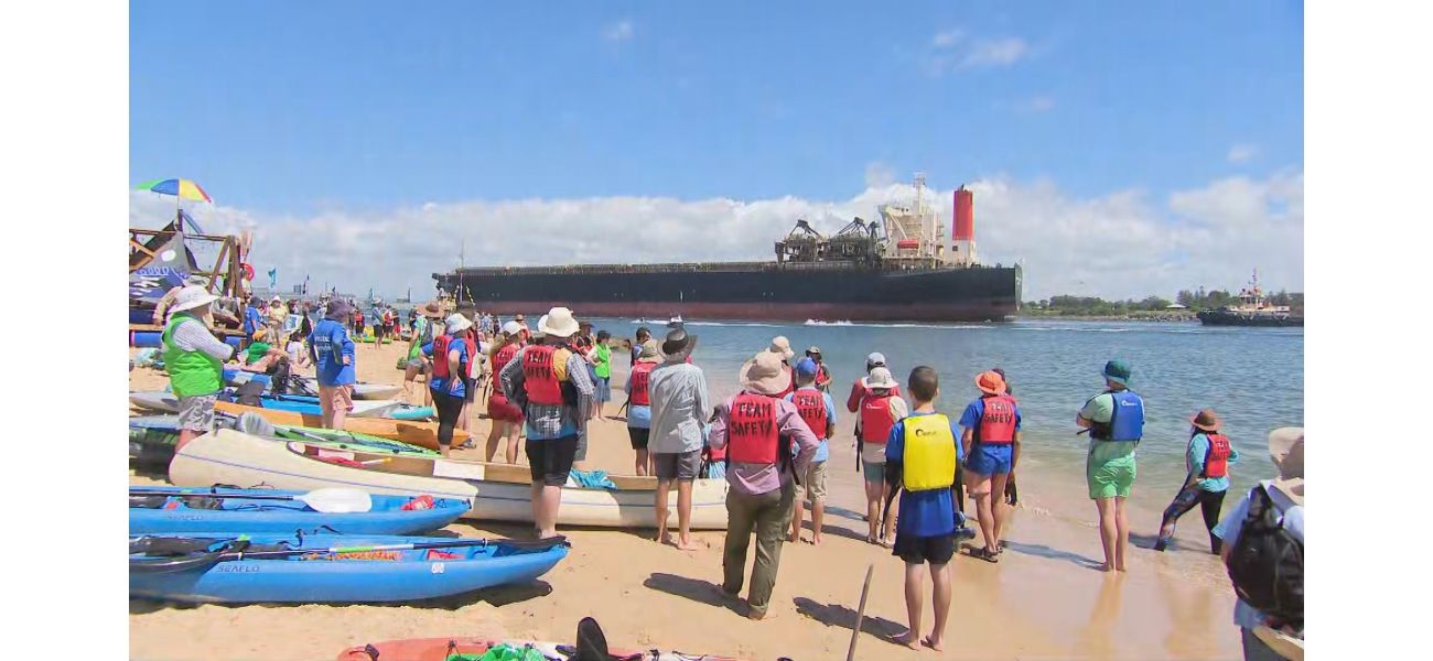 Protesters stop coal ships using surfboards and kayaks at port.