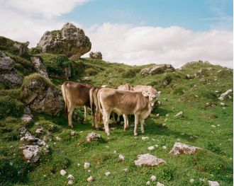 New Stills exhibit to showcase breathtaking photos.