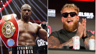 A fight between Jake Paul and Daniel Dubois would be a disgrace and a disappointment to the heavyweight division.