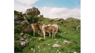 New Stills exhibit to showcase breathtaking photos.