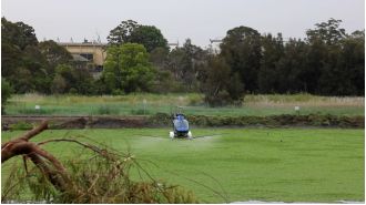 Serious mosquito problem at Sydney water plant resolved.