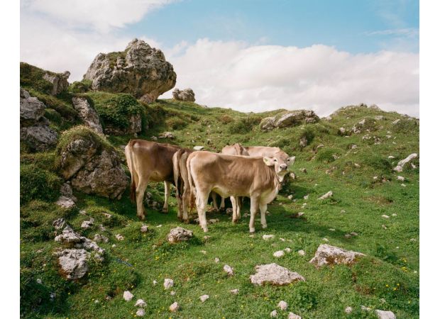 New Stills exhibit to showcase breathtaking photos.