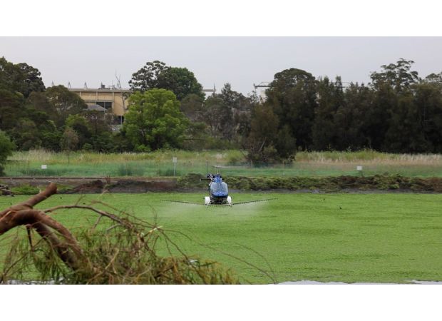 Serious mosquito problem at Sydney water plant resolved.