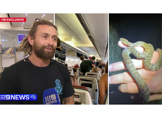 An unexpected snake caused chaos on a flight in Australia.