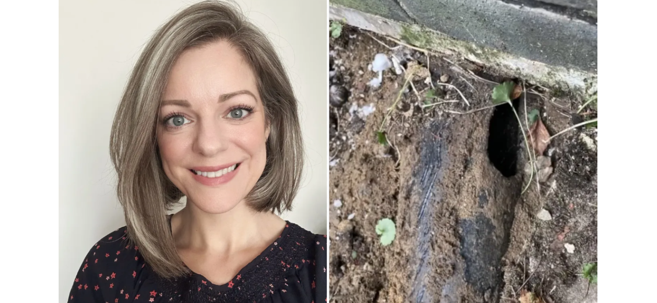 I unknowingly purchased a rat-infested house while pregnant.